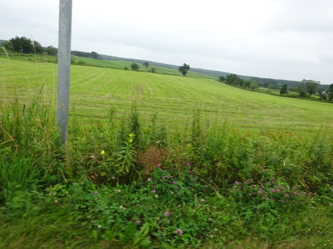 DSC00625