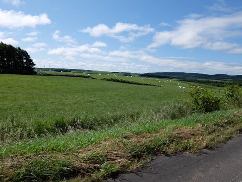 DSCF7158
