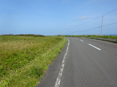 DSC00728