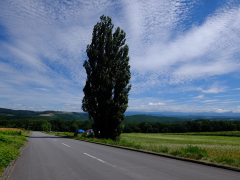 DSCF3141
