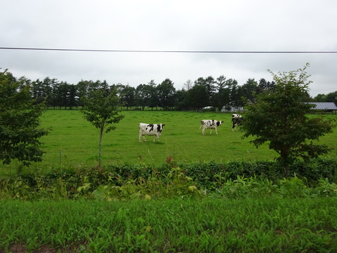 DSC00611