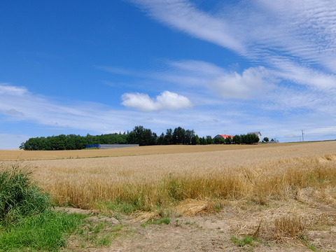 DSCF3139