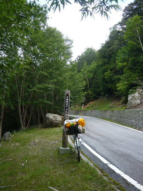 P1010673
