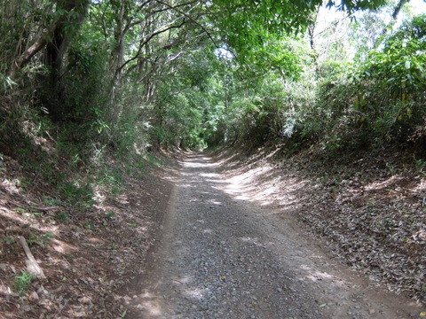 DSCF5600