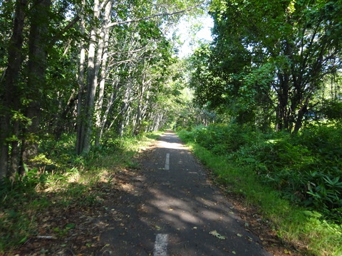 DSC00335