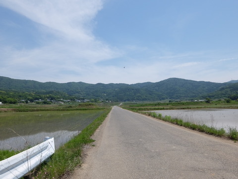 DSCF5579