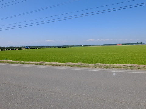 DSCF3439