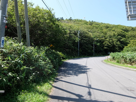 DSCF6790