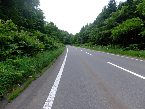 DSCF3081