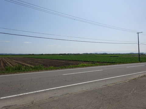 DSC00419