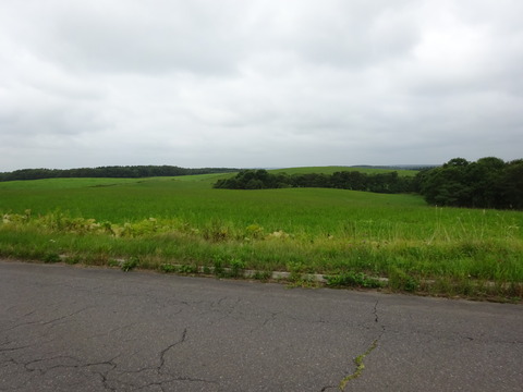 DSC00641