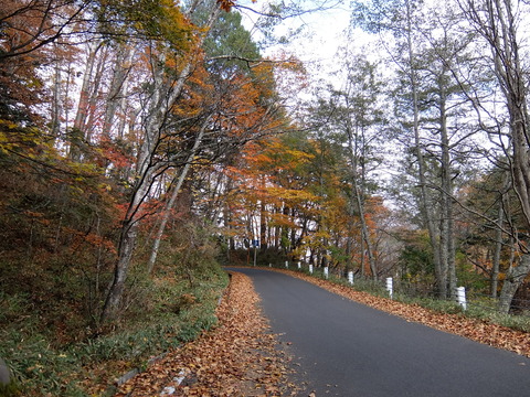 DSCF2028