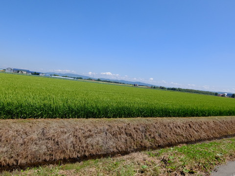 DSCF3445
