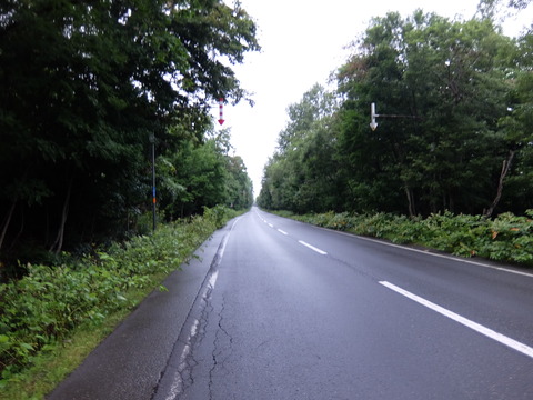 DSCF6678
