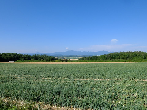 DSCF3282