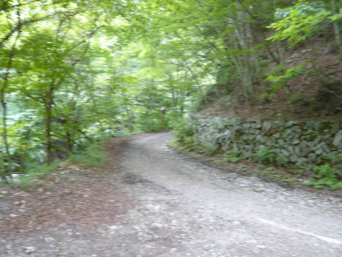 P1010719
