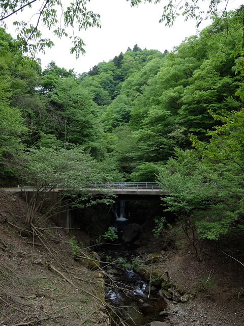 DSCF1724