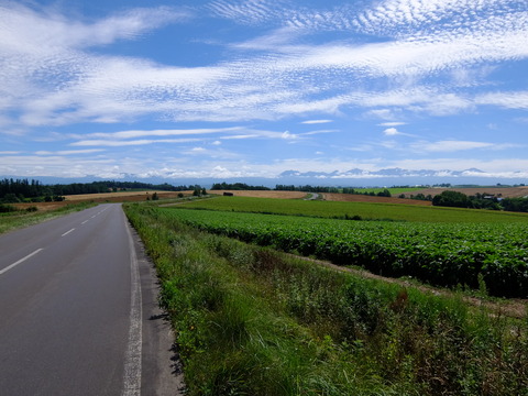 DSCF3138