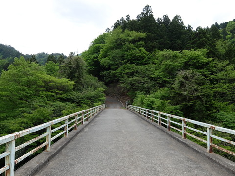 DSCF1733