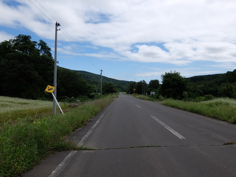 DSCF7287