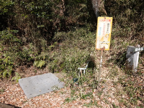 DSCF5958