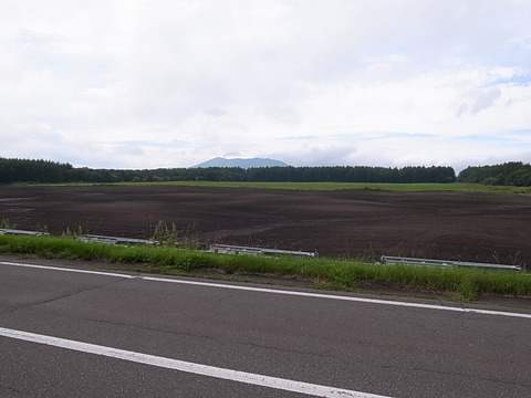 R0011446