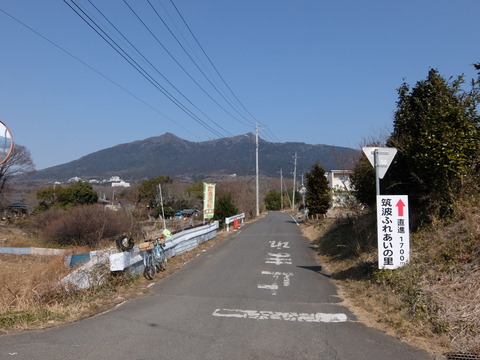 DSCF6253