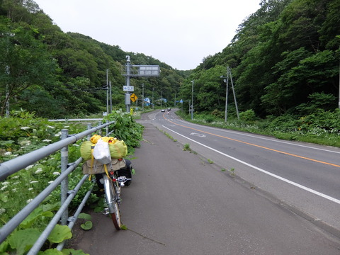 DSCF6852