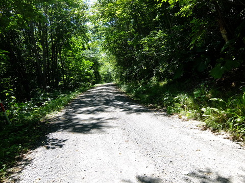 DSCF3187
