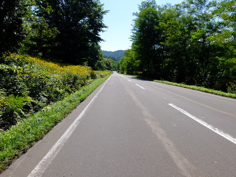 DSCF3377