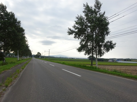 DSC00460