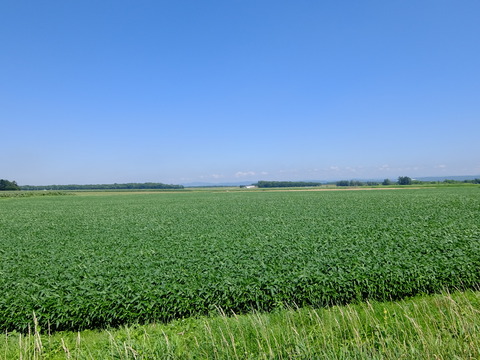 DSCF3455