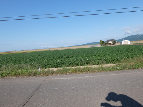 DSCF7590