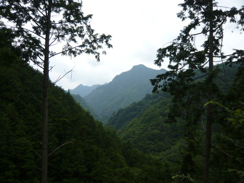 P1010731