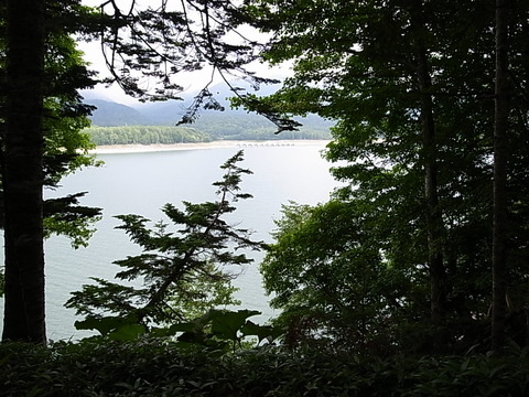 R0012007