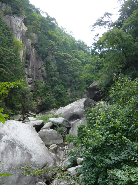 P1010621