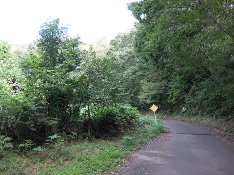 DSCF6222