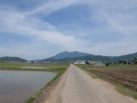 DSCF5575