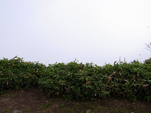 R0011933