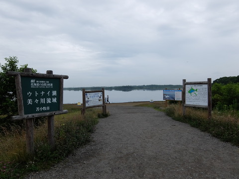 DSCF3767