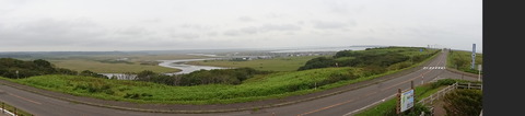 DSC00781