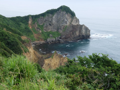 DSCF3819