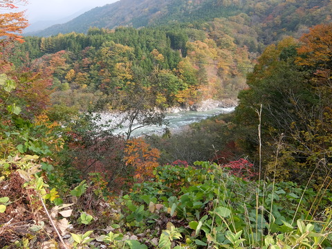 DSCF2055