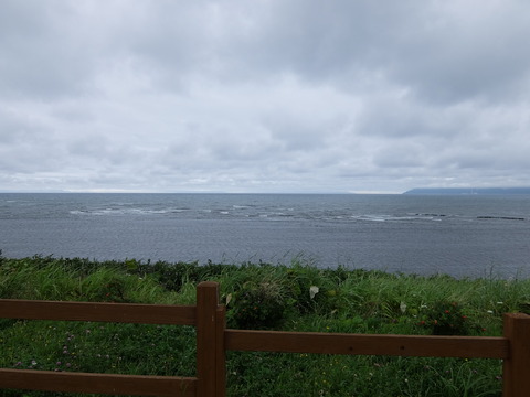 DSCF4033