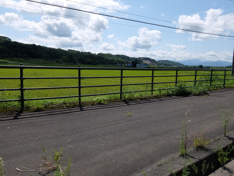 DSCF7513