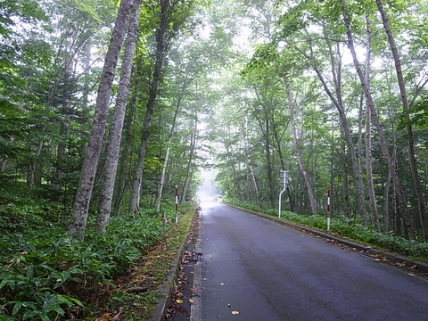 R0011919