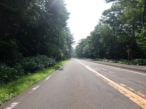 DSCF2503