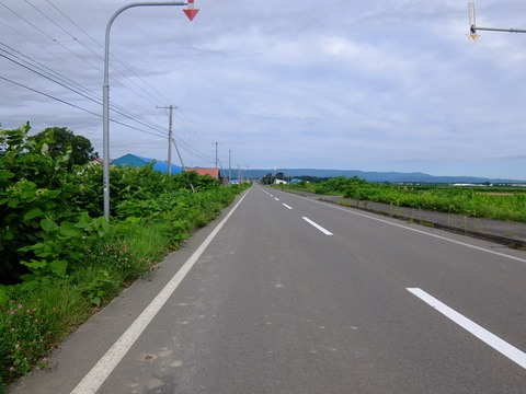 DSCF2961