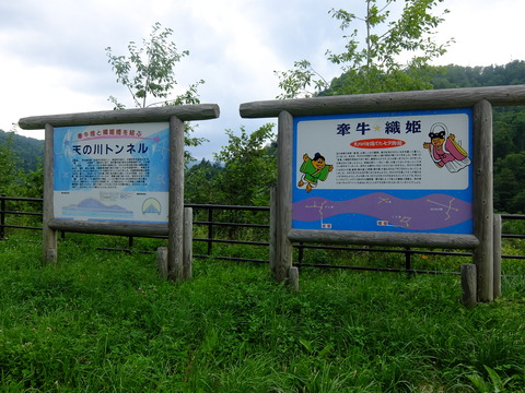 DSCF2901