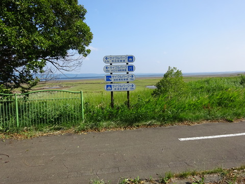 DSC00326